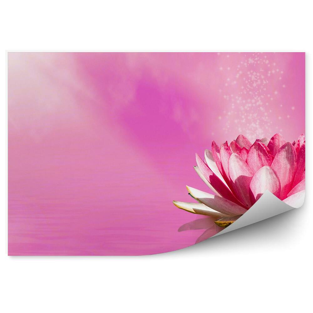 Fototapet pentru perete Floare de lotus roz razele soarelui fundal roz