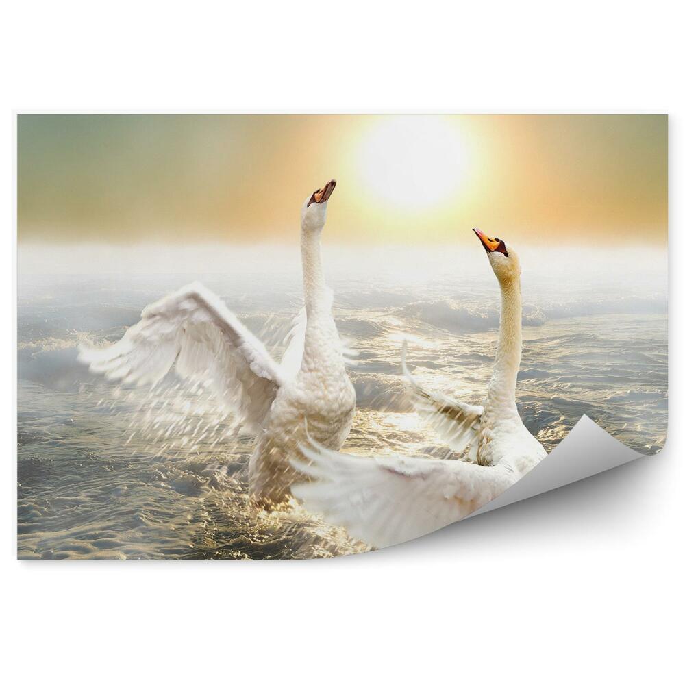 Fototapet vintage Lebede Dansând Pe Valuri