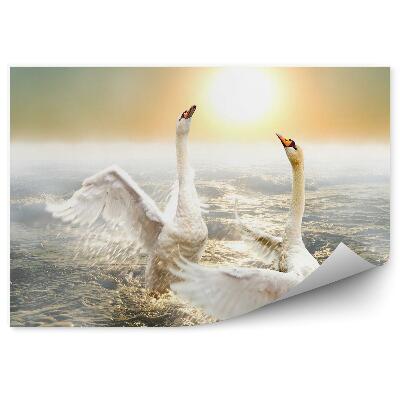 Fototapet vintage Lebede Dansând Pe Valuri