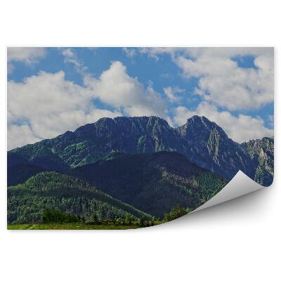 Fototapet Munții Giewont Copaci Iarbă Cer Nori Munții Tatra