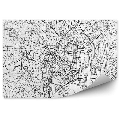 Fototapet perete Japonia Tokyo City Plan