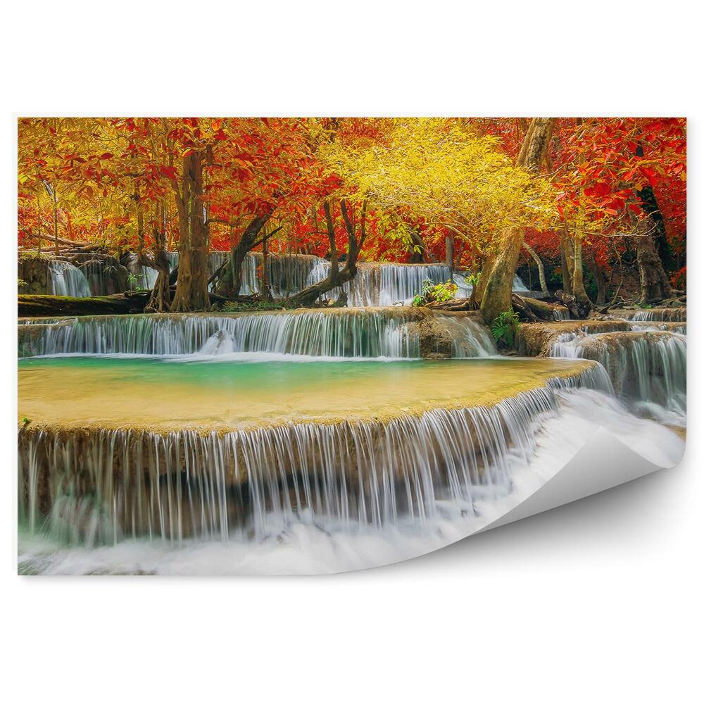 Fototapet Cascade De Toamnă Frunze De Pădure Copaci