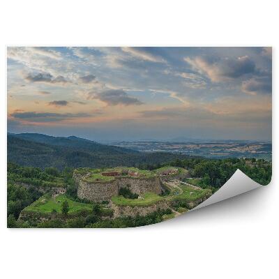 Fototapet vintage Vegetație Verde Arbori Păduri Sudeți