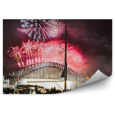 Fototapet pentru perete Focuri de artificii noapte lumini barca Sydney
