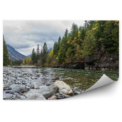 Fototapet vintage Pomi Verzi De Crăciun, Pădure, Râu, Pietre, Dealuri