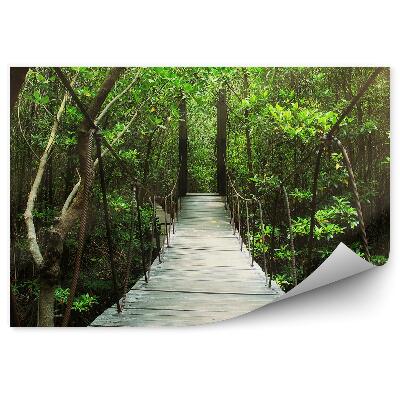 Fototapet perete Pădure verde în pădure în lumina de vară care cade pe podul suspendat