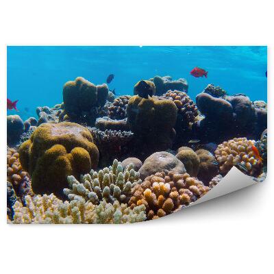 Fototapet vintage Recif De Corali Subacvatic Pești Colorați Oceanul Indian