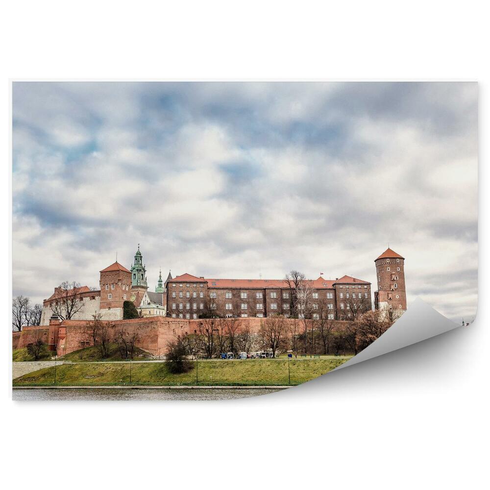 Fototapet pentru perete Vedere Panoramică Wisła Cracovia Bărci Wisła Nori Plante