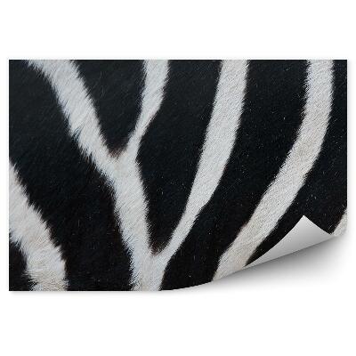 Fototapet Dungi De Blana De Zebra Alb-Negru