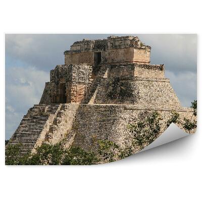 Fototapet perete Copaci naturali care înconjoară templul antic