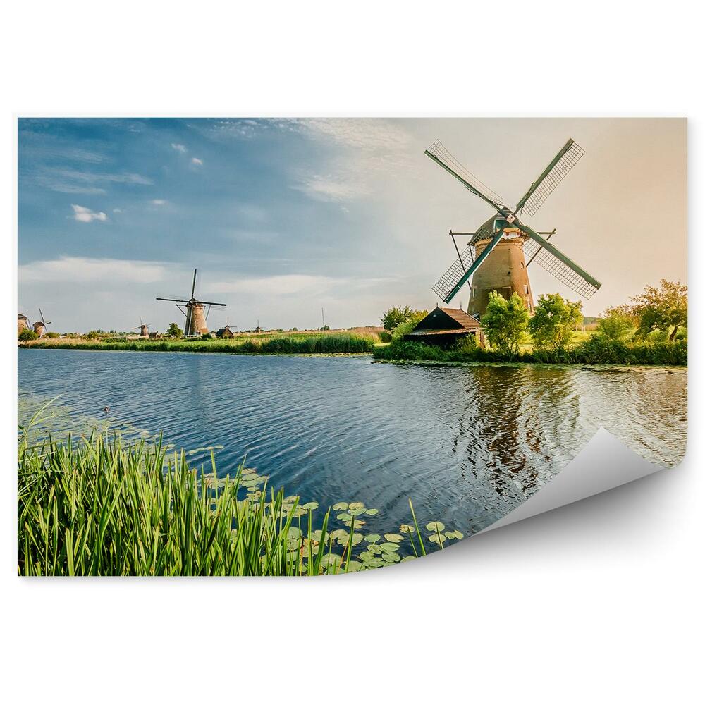 Fototapet perete Vara în Rotterdam Morile de vânt olandeze