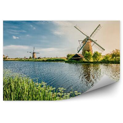 Fototapet perete Vara în Rotterdam Morile de vânt olandeze