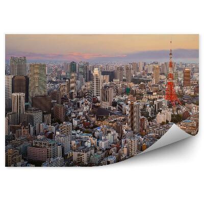 Fototapet perete Tokyo Zgârie-Nori Copaci Clădiri Cer Nori Apus De Soare