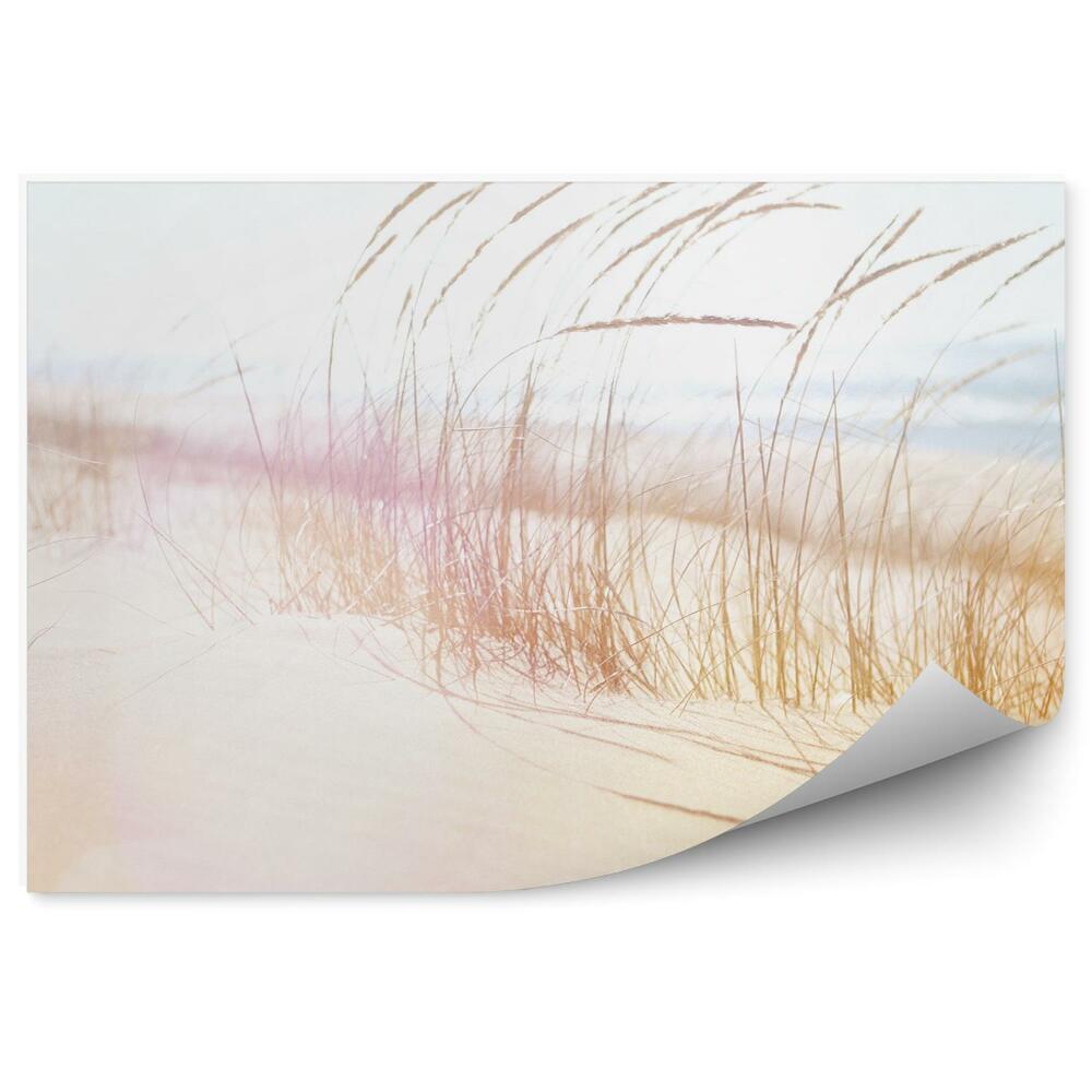 Fototapet perete Plaja Iarba Nisip Oceanic