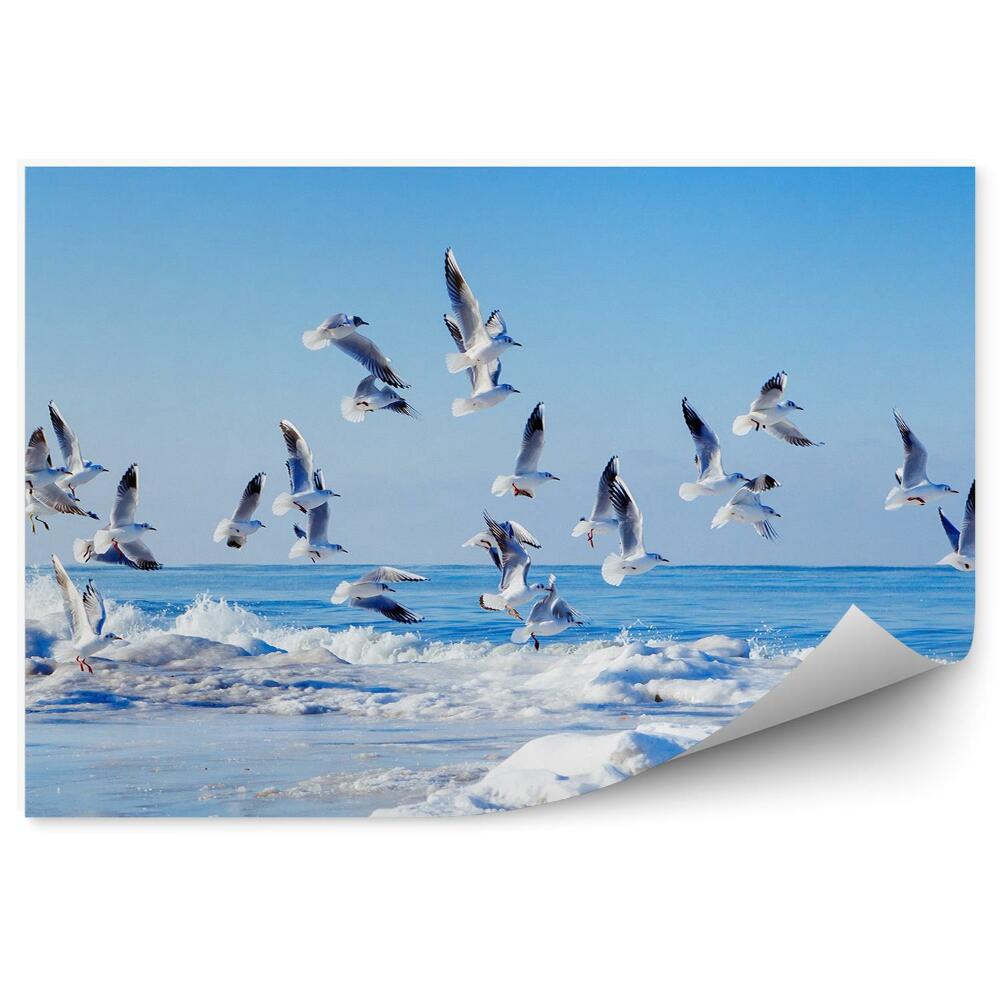 Fototapet pentru perete Stol De Pescăruși Albi Zburători, Mare Înghețată, Valuri, Cer