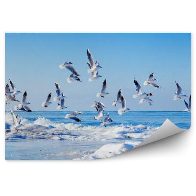 Fototapet pentru perete Stol De Pescăruși Albi Zburători, Mare Înghețată, Valuri, Cer