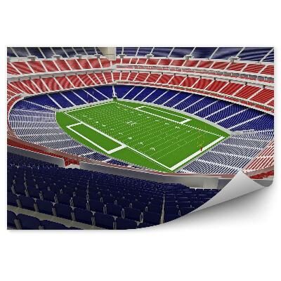 Decor fototapet Teren de fotbal american 3D