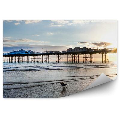 Fototapet vintage Brighton Pier Parc De Distracții Ocean Cer Nori Pasăre