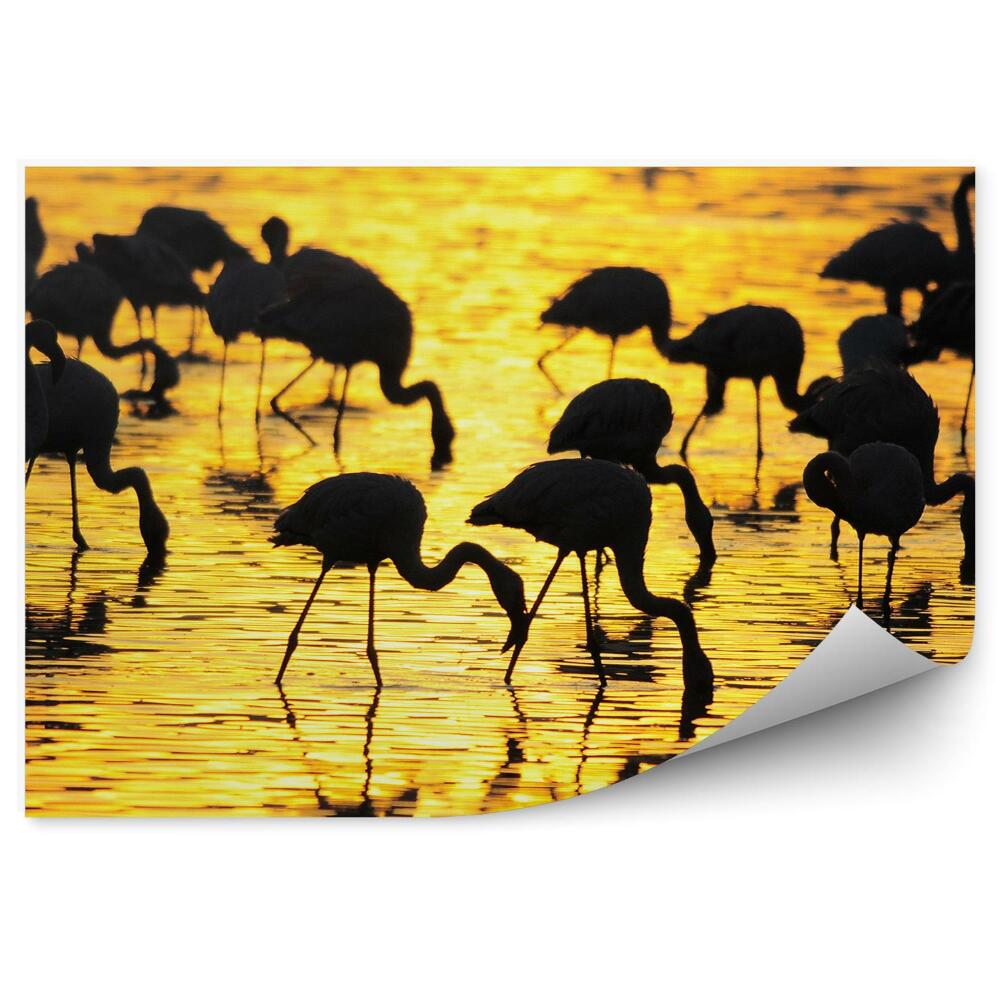 Decor fototapet Flamingo în zori pe Lacul Nakuru
