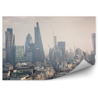 Fototapet Vedere Aeriană A Clădirilor Din Londra