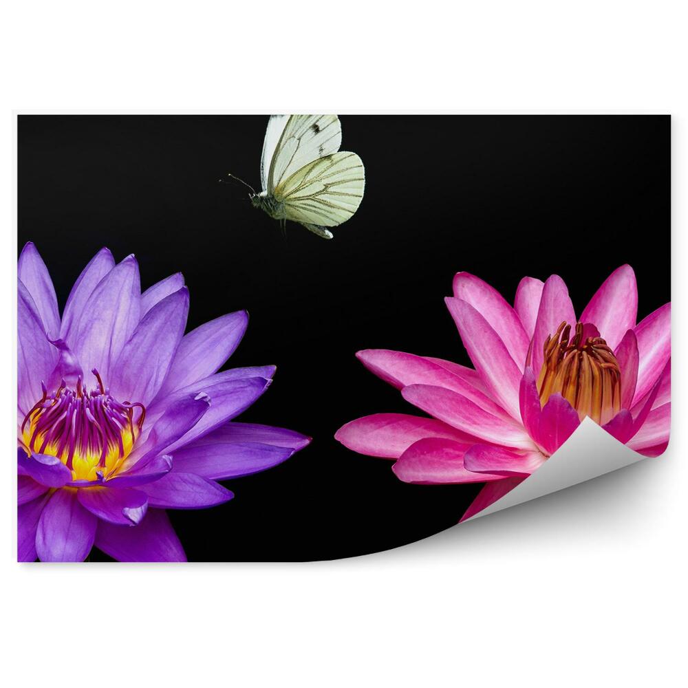 Decor fototapet Crini roz violet fundal negru fluture alb