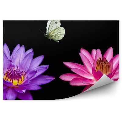 Decor fototapet Crini roz violet fundal negru fluture alb