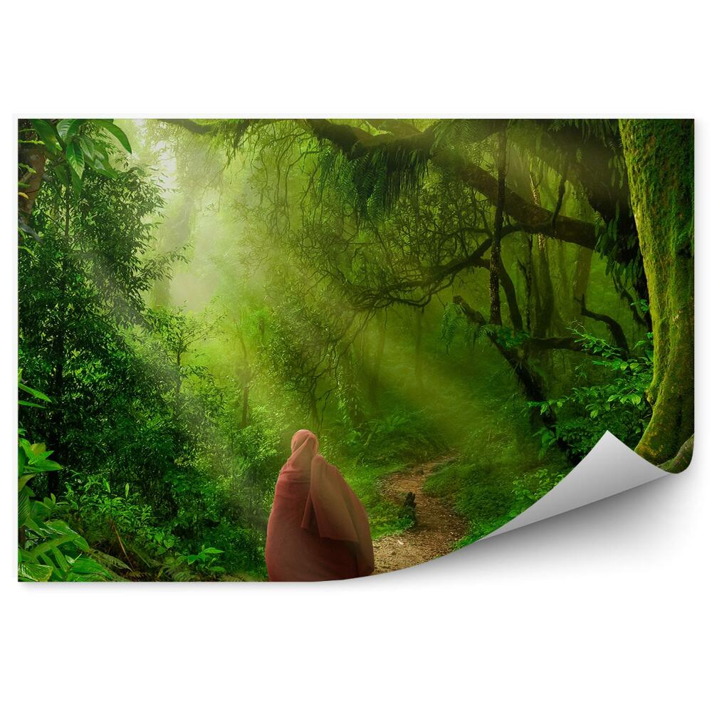 Fototapet pentru perete Figura Arborilor Călător Potecă Vegetație