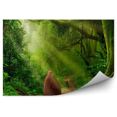 Fototapet pentru perete Figura Arborilor Călător Potecă Vegetație