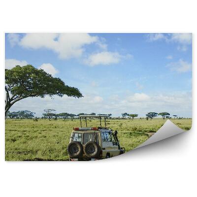 Fototapet perete Mașină De Teren Copac Iarbă Bălți Drum Cer Nori Safari