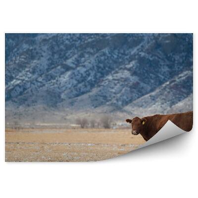 Fototapet vintage Lunca De Vaci Iarba Uscata Munti