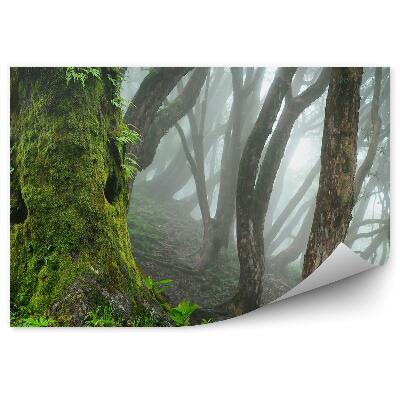 Fototapet pentru perete Ceață Junglă Din Nepal