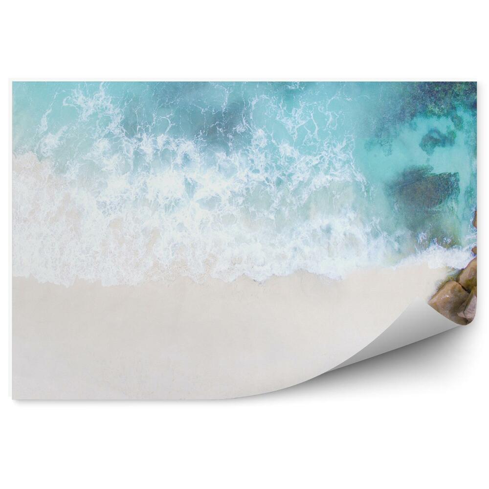 Fototapet perete Ocean Plajă Pietre Plante Seychelles Insula Mah