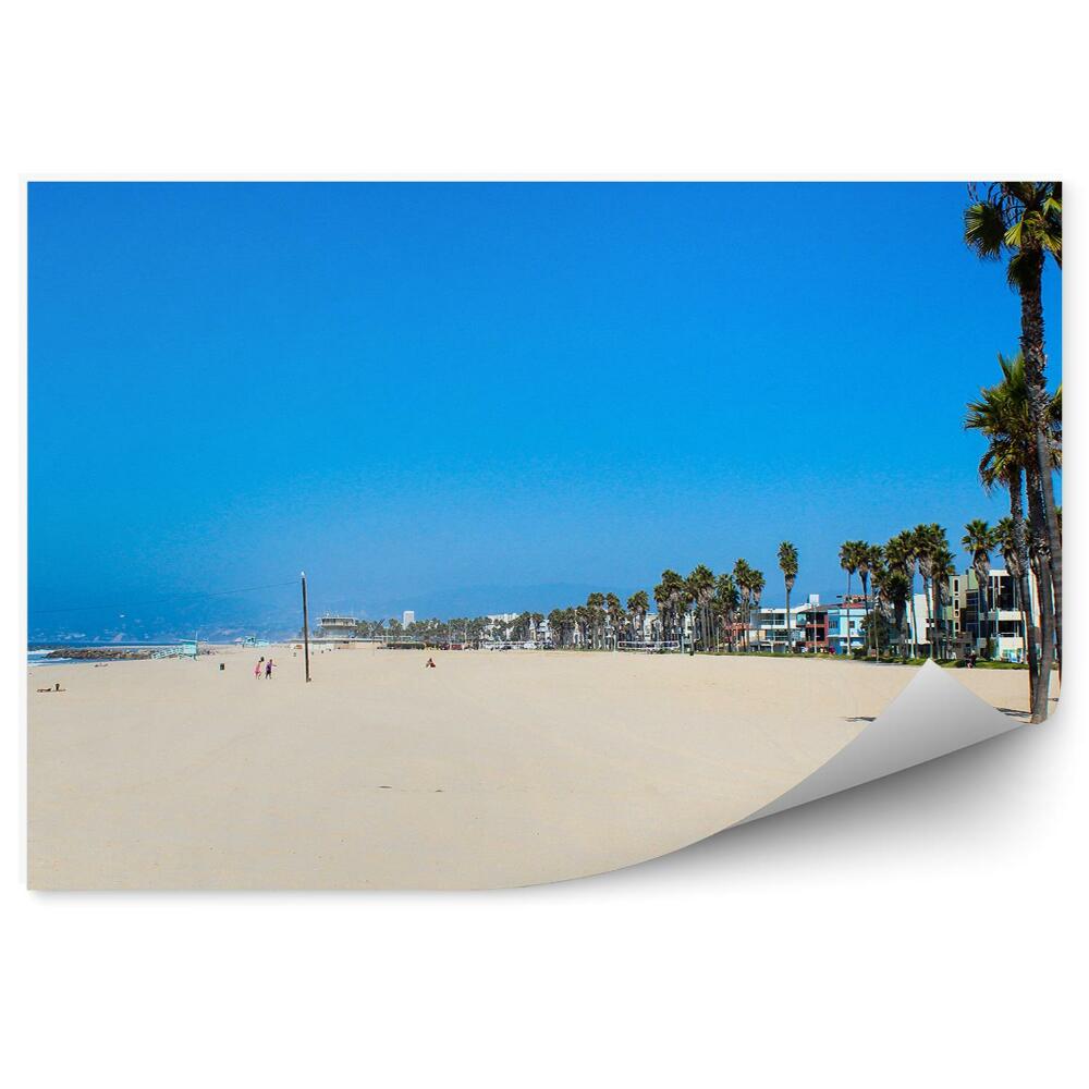 Fototapet perete Plajă nisip apă vară palmieri