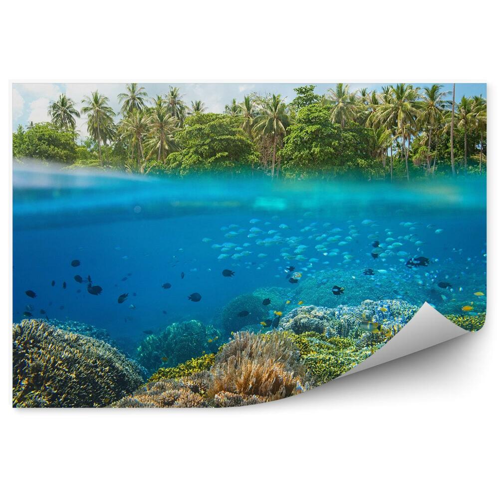 Decor fototapet Pești Recif De Corali Tropicale Palmieri Linie De Apă