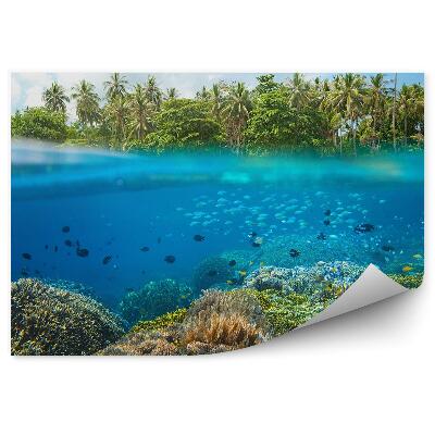 Decor fototapet Pești Recif De Corali Tropicale Palmieri Linie De Apă