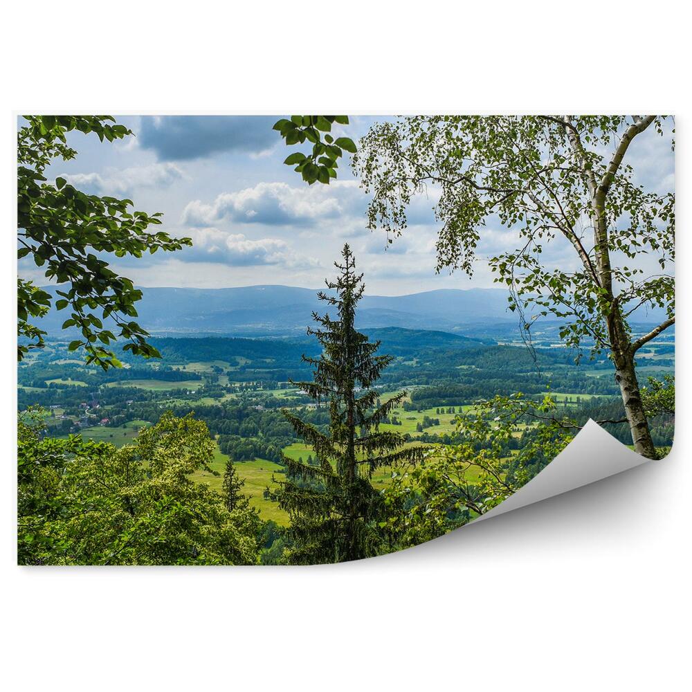 Fototapet vintage Vedere Din Pădure Spre Munți, Poieni Și Sate