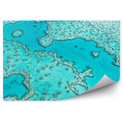 Fototapet perete Vedere Aeriană A Unui Recif De Corali Albastru