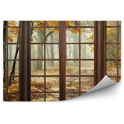 Fototapet parc de toamnă în afara ferestrei de lemn