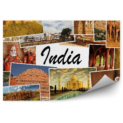 Decor fototapet Colaj foto templul maimuțelor din India