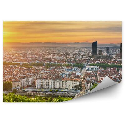 Fototapet perete Vedere Aeriană A Orașului Zgârie-Nori Copaci Plante Apus Râu