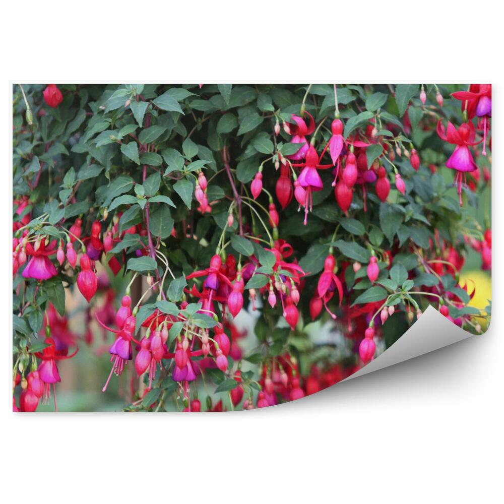 Decor fototapet Flori roz cu frunze verde fucsia