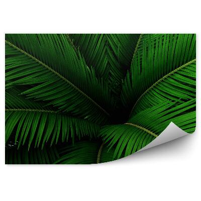 Fototapet vintage Frunze Verzi De Palmier Natură Natură