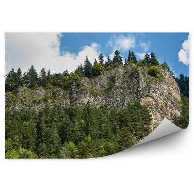 Fototapet pentru perete Sokolica Pieniny Vârf De Munte Cer Înnorat