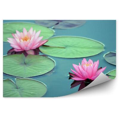 Fototapet Nuferi frunze și flori