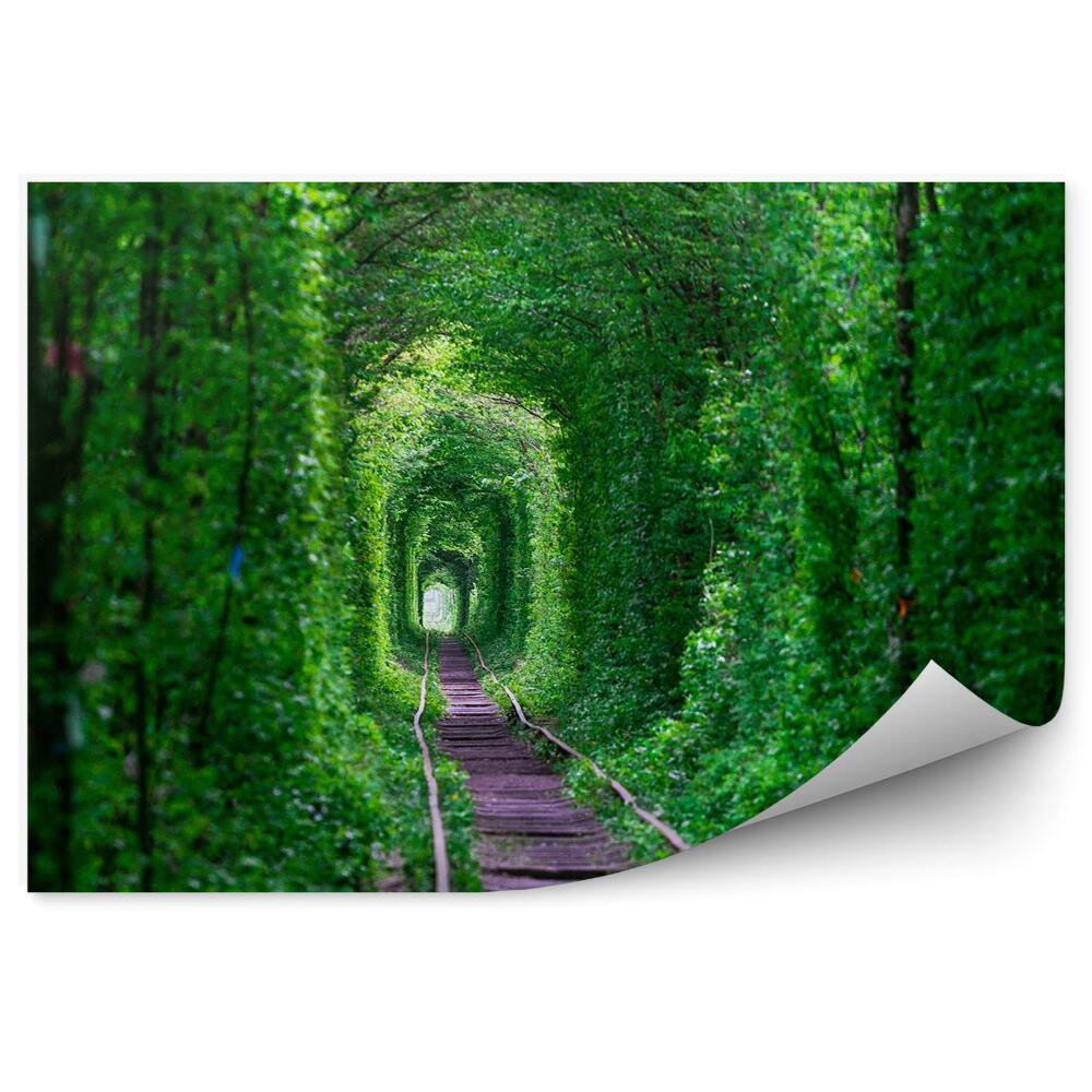 Fototapet Tunel natural arbori tufișuri șine cale ferată