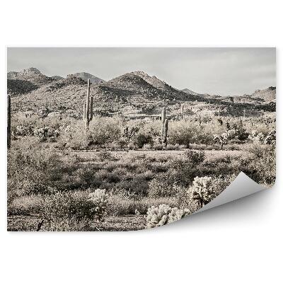 Fototapet perete Sepia Cactus Plante Copaci Cer Nori Desert