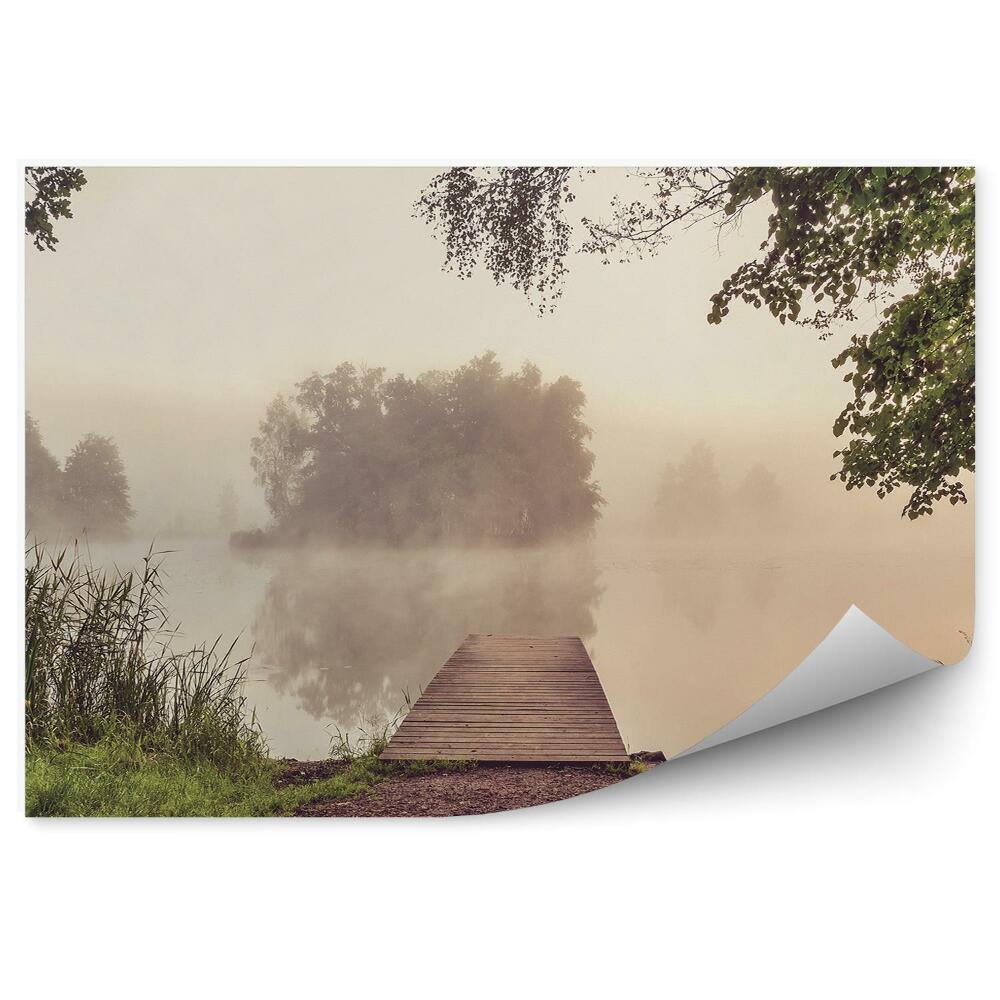 Decor fototapet Pod Pământ Iarbă Copaci Ceață Lac