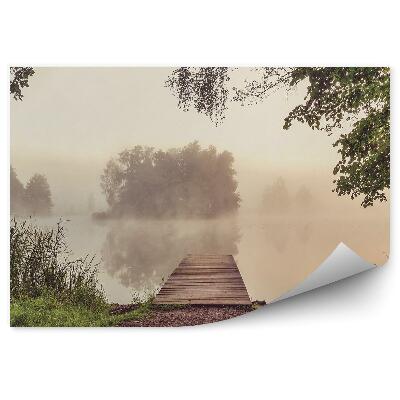 Decor fototapet Pod Pământ Iarbă Copaci Ceață Lac