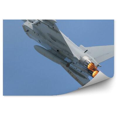 Fototapet pentru perete Luptător multirol cu ​​post-ardere