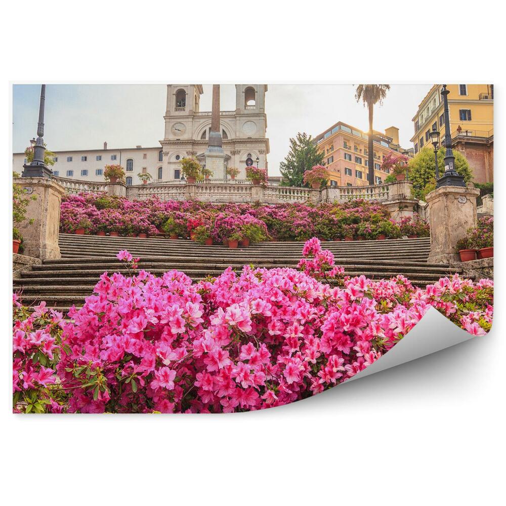 Decor fototapet Trinità Dei Monti Biserica Cladiri Scari Flori Plante